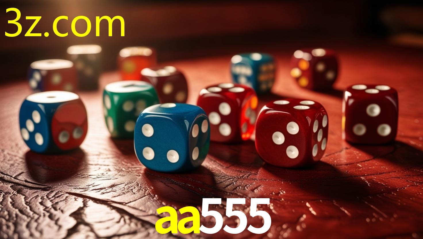 AA555.COM